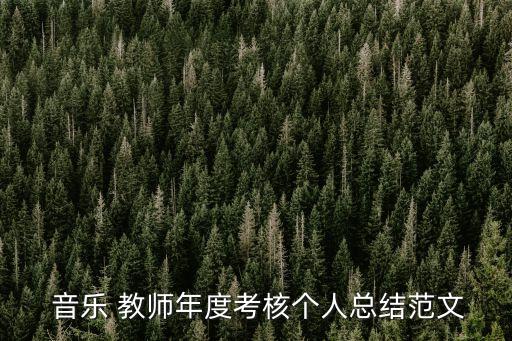  音樂 教師年度考核個人總結范文