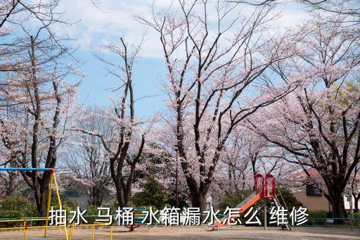 馬桶水箱維修,馬桶水箱漏水怎么辦?先檢查水勺是否靈敏