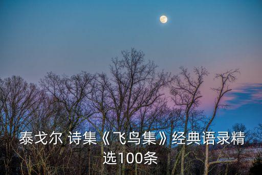 泰戈爾詩集摘抄,泰戈爾詩選摘抄賞析