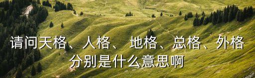 請問天格、人格、 地格、總格、外格分別是什么意思啊