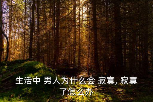生活中 男人為什么會(huì) 寂寞, 寂寞了怎么辦