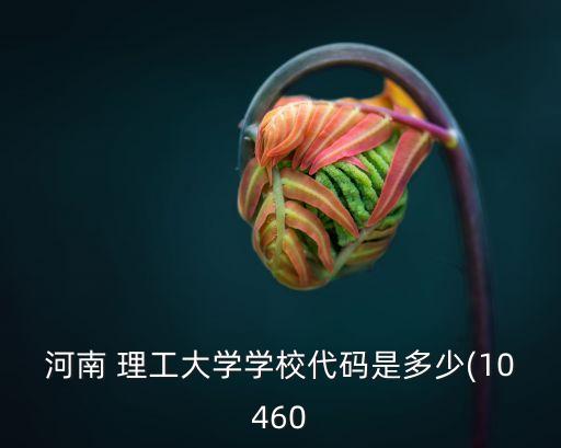 河南 理工大學學校代碼是多少(10460