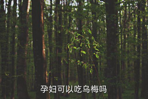 孕婦可以吃烏梅嗎，懷孕可以吃烏梅嗎