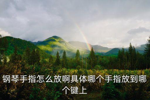 手指鋼琴，請問9個手指頭能彈鋼琴么