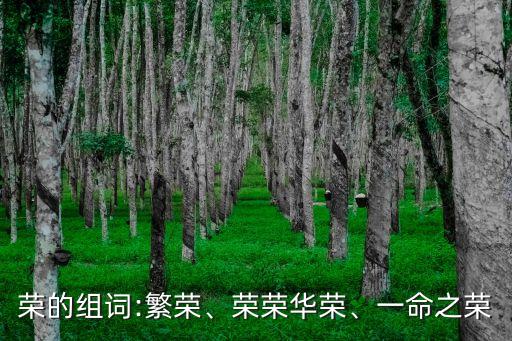 榮的組詞:繁榮、榮榮華榮、一命之榮