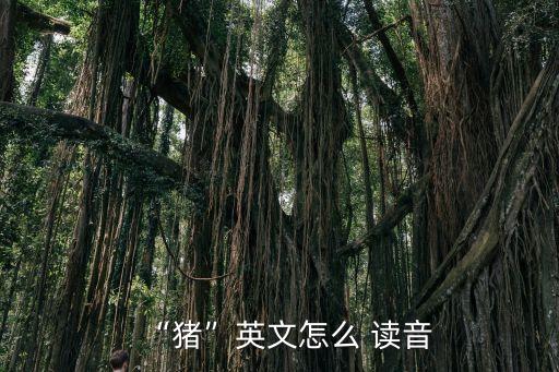 小豬英語(yǔ)怎么讀音,小豬豬勇闖黑暗城堡...