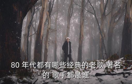 80 年代都有哪些經典的老歌,著名的 歌手都是誰