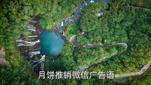 天倫月餅,成都哪兒有天倫月餅門店?