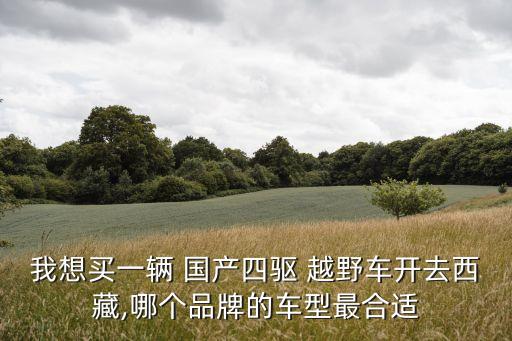 我想買一輛 國(guó)產(chǎn)四驅(qū) 越野車開去西藏,哪個(gè)品牌的車型最合適