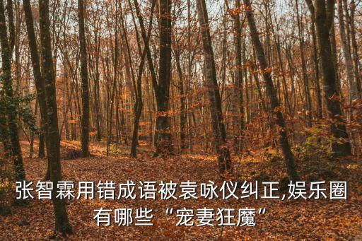 張智霖用錯(cuò)成語(yǔ)被袁詠儀糾正,娛樂圈有哪些“寵妻狂魔”