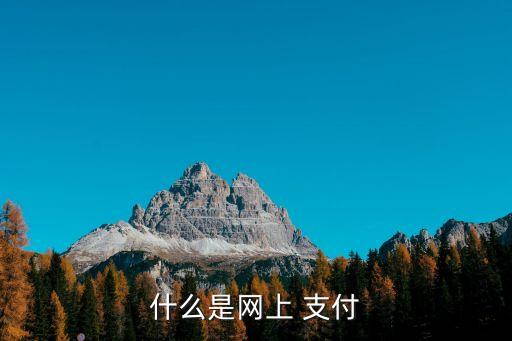什么是網上 支付