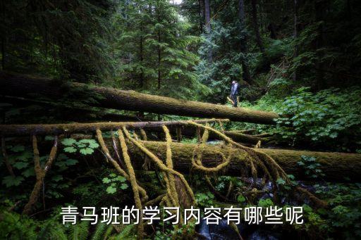 青馬班培訓心得體會,長春財經學院青馬班怎么樣?