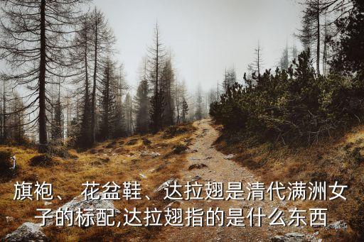 旗袍、 花盆鞋、達拉翅是清代滿洲女子的標配,達拉翅指的是什么東西