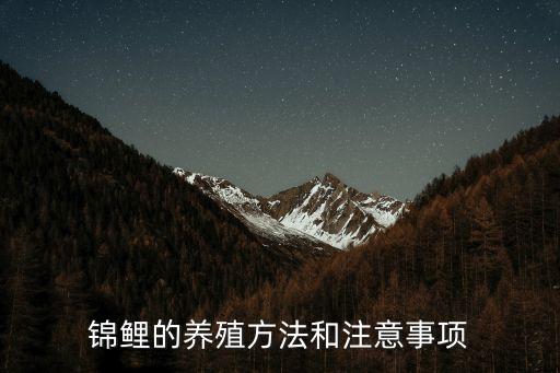 錦鯉的養殖方法和注意事項