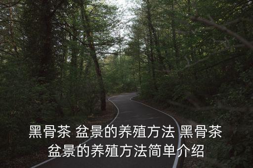 黑骨茶盆景,黑骨茶根系旺盛盛時喜歡肥水