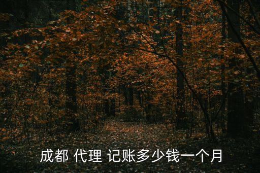 成都代理記賬,成都代理記賬公司會計報稅服務(wù)優(yōu)點:比較專業(yè)