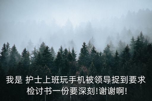 我是 護士上班玩手機被領導捉到要求 檢討書一份要深刻!謝謝啊!