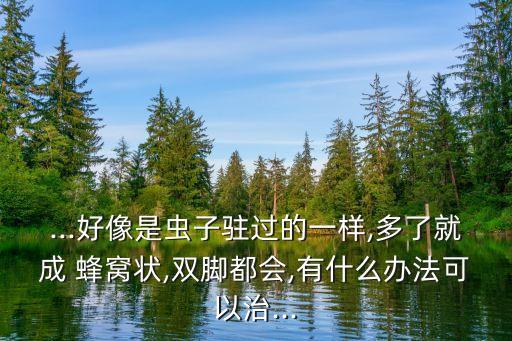 ...好像是蟲子駐過的一樣,多了就成 蜂窩狀,雙腳都會,有什么辦法可以治...