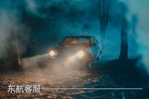 東航銷售平臺,南航和北航客流量減少價格稍微偏低