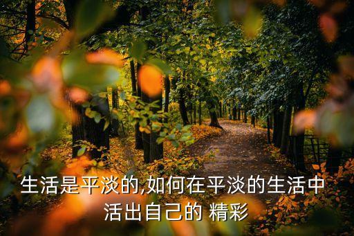 生活是平淡的,如何在平淡的生活中 活出自己的 精彩