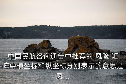 風險矩陣圖,風險坐標圖是高級風險矩陣的最高級階段