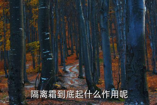 隔離霜有什么作用,隔離面霜知多少?