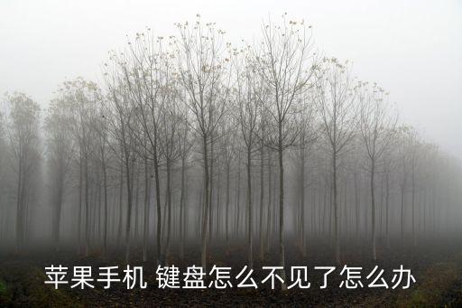iphone鍵盤,手寫鍵盤怎么設置?