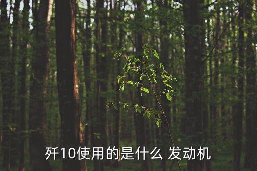 殲10使用的是什么 發(fā)動機