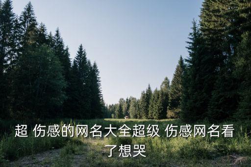 超 傷感的網名大全超級 傷感網名看了想哭