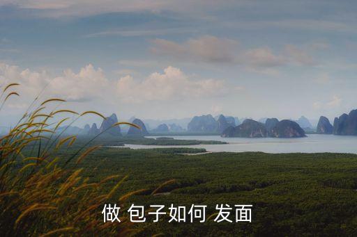 蒸包子如何發(fā)面,第二步驟是濕布蓋上保護(hù)面團(tuán)防止開裂和死面