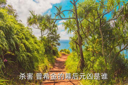 普希金之死的原因,普希金的一生是怎么一回事?