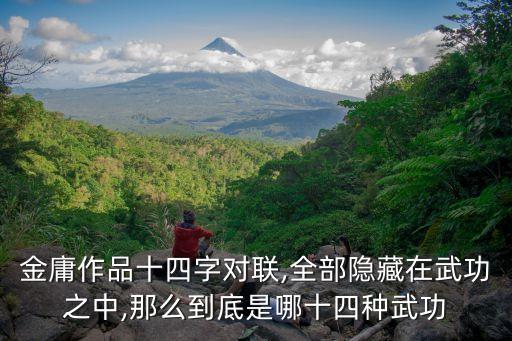 金庸作品十四字對聯(lián),全部隱藏在武功之中,那么到底是哪十四種武功