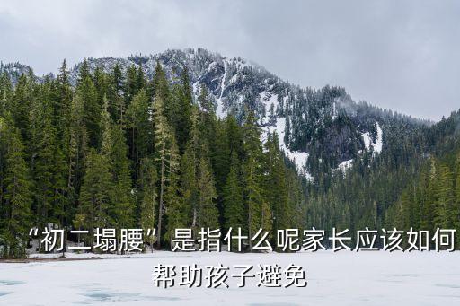 塌腰,做俯臥撐塌腰的危害:對腰椎壓力過大容易傷到脊椎