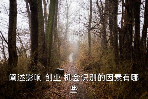 闡述影響 創(chuàng)業(yè) 機(jī)會識別的因素有哪些
