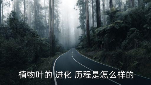 植物進化歷程,裸體植物和被子植物指的是什么?