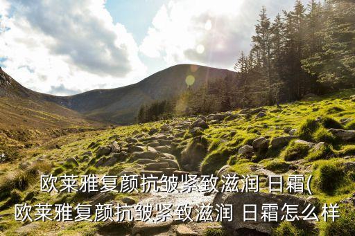  歐萊雅復(fù)顏抗皺緊致滋潤(rùn) 日霜( 歐萊雅復(fù)顏抗皺緊致滋潤(rùn) 日霜怎么樣