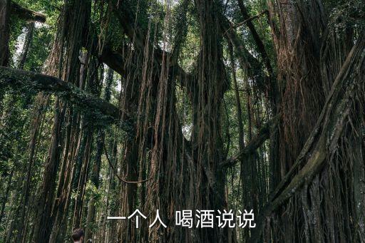一個人喝酒,酒后噓寒問暖