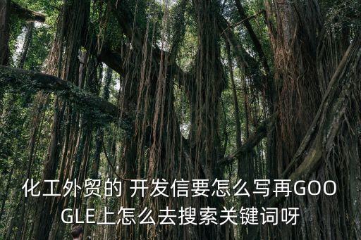 化工外貿(mào)的 開發(fā)信要怎么寫再GOOGLE上怎么去搜索關(guān)鍵詞呀
