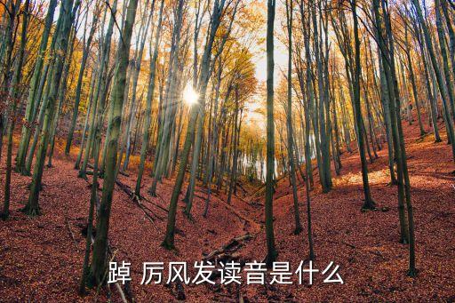 踔厲風發,我國帆船選手奪金牌:奪銀無數