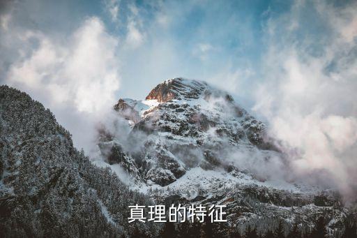 真理的特點，人類追求和發展真理的特點是什么