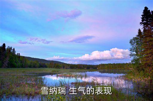 狗狗生氣的表現,狗狗情緒不好怎么辦?別太接近它!