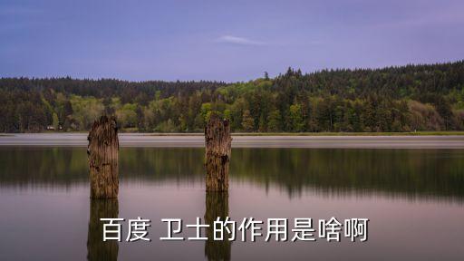 百度 衛(wèi)士的作用是啥啊