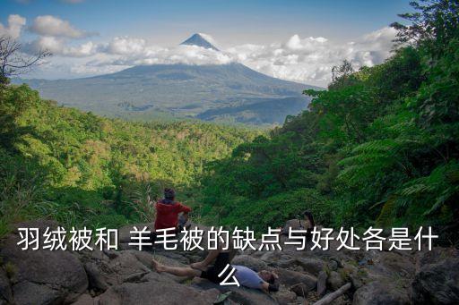 羽絨被和 羊毛被的缺點(diǎn)與好處各是什么