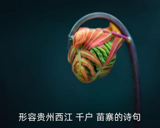 千戶苗寨在哪里,西江千戶苗寨在貴州屬于什么地區?
