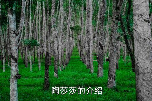 陶莎莎,我和你一樣希望被尊重的球迷