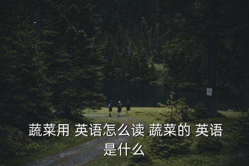 蔬菜的英語怎么讀,英美翻譯