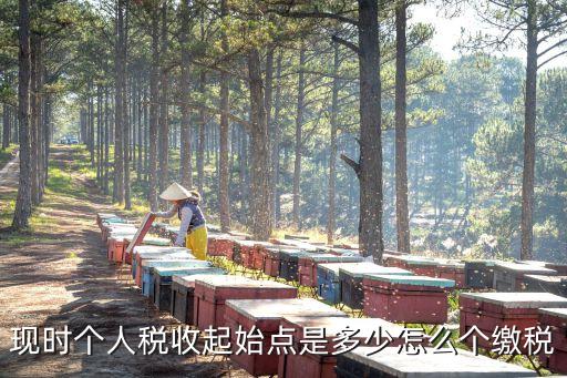 現時個人稅收起始點是多少怎么個繳稅