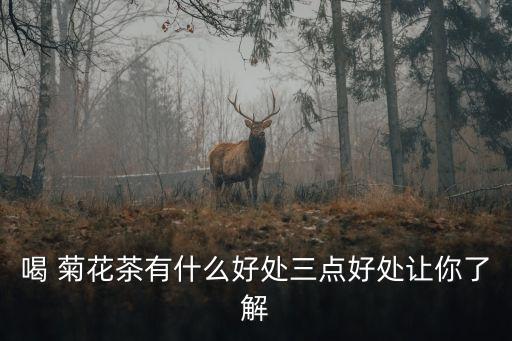 喝菊花茶,喝菊花茶好處多不好喝什么?