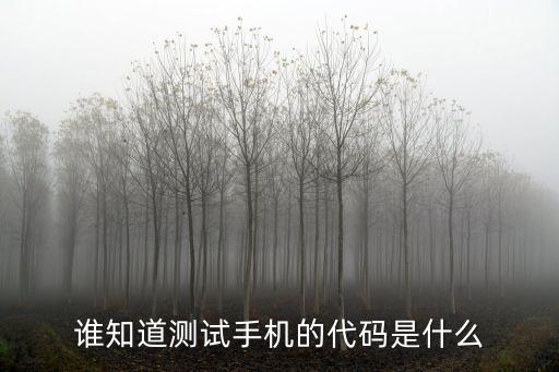 手機測試代碼，手機的測試碼有哪些