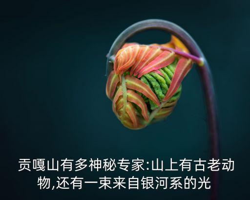 貢嘎山,貢嘎山有多神秘?